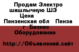 Продам Электро-шашлычную ШЭ-12 › Цена ­ 10 000 - Пензенская обл., Пенза г. Бизнес » Оборудование   